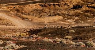 孙颖莎3-0战胜米特兰姆！成都混合团体世界杯：国乒暂时5-1德国队